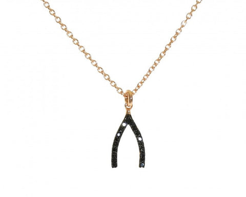 Wishbone Necklace, Gold-Plated & Black Spinal