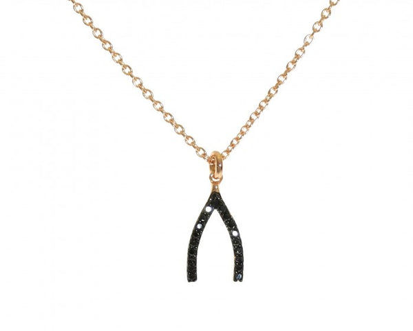 Wishbone Necklace, Gold-Plated &amp; Black Spinal